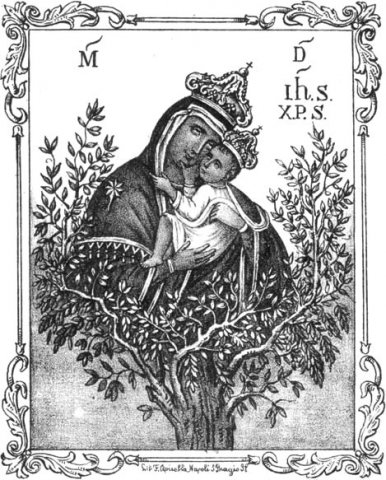Immagine antica Madonn dell'Olmo (3)